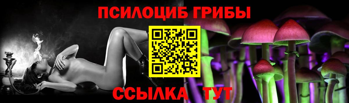 Галлюциногенные грибы GOLDEN TEACHER Тавда